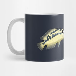 Salvin's Cichlid Mug